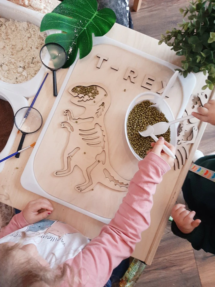 plateaudinovero2_1024x1024@2x